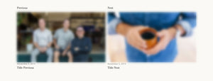 Blog Articles Navigation Through An Image Gallery In Shopify