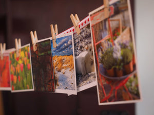 A Sneaky Yet Useful Option For Optimizing Images on Shopify