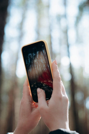 The Impact of User Generated Content On Your Brand