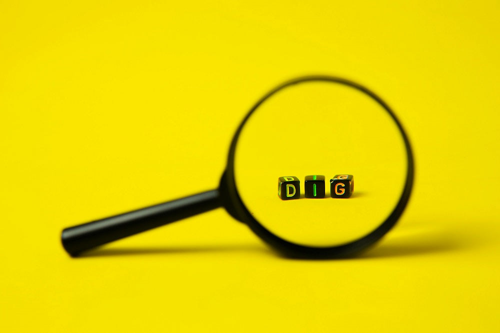 Tips For Better Internal Website Search