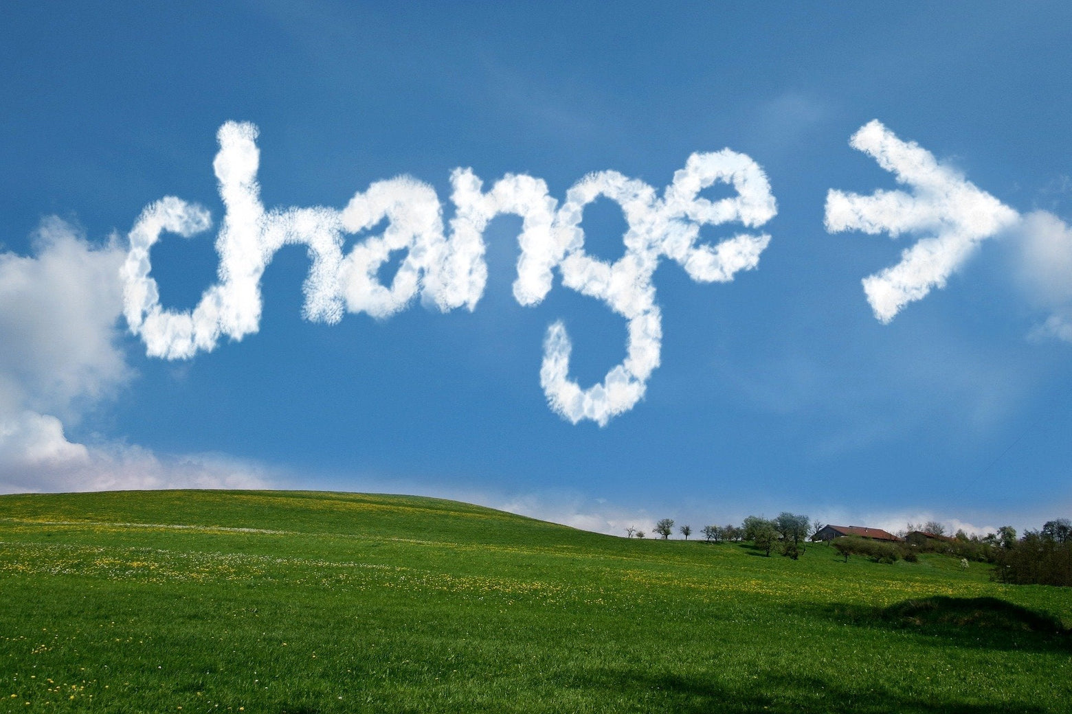 Changing Your Collection Header Image  Depending On The Tag