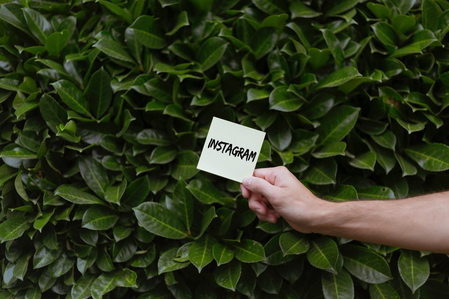 Exploring the Possibilities of Instagram Ads