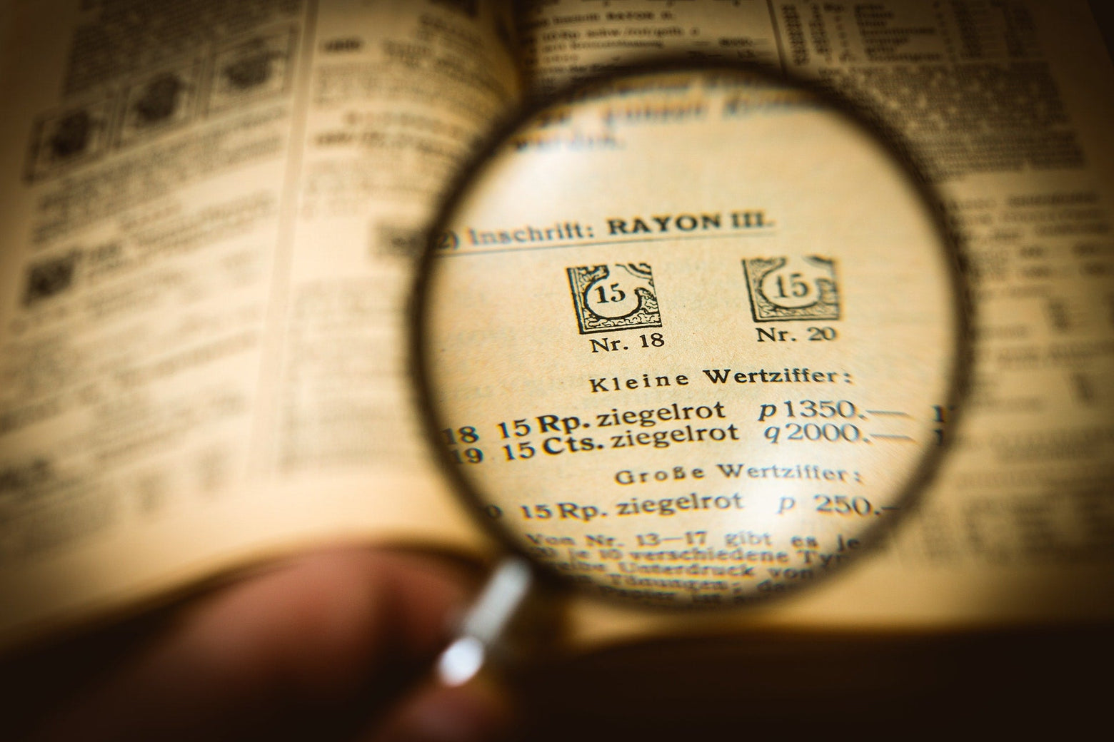 Make It Searchable: A Hot Tip On Shopify Website Searchability