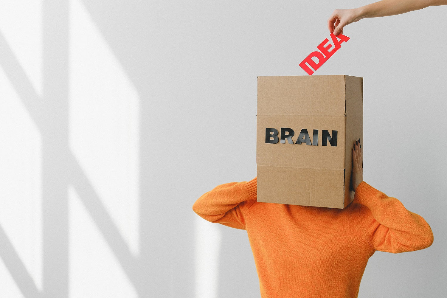 Title Optimizations For Product Feed
