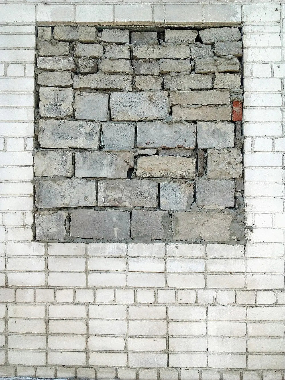 The Importance of Audience Segmentation