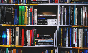 SEO Knowledge: What are 10 Sources for Valuable Information?